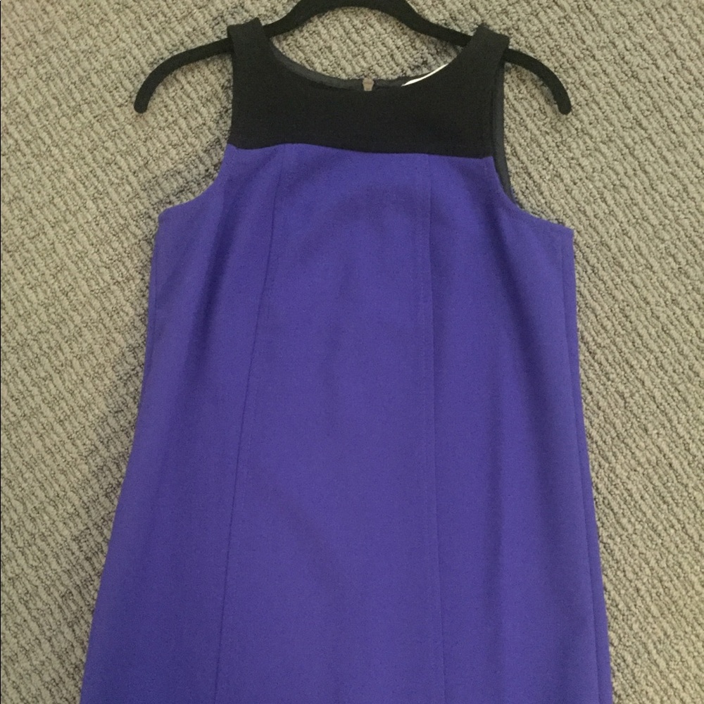 Loft Blue Shift Dress. NWT